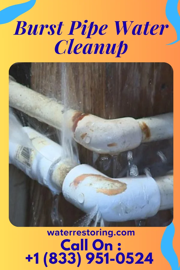 Burst Pipe Water Cleanup in Lakewood, OH