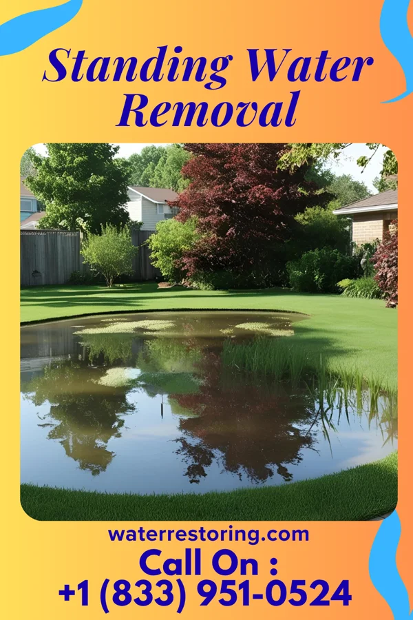 Standing Water Removal in Lakewood, OH